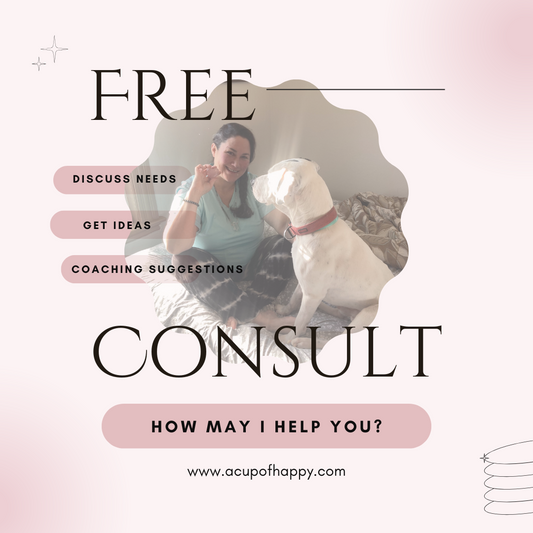 40-Minute Free Consultation – Let’s Chat & Find Your Path